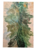 "Leśna Ścieżka" 140x100