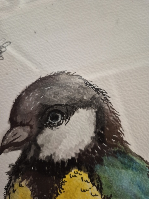 "Sikoreczka" 30x20